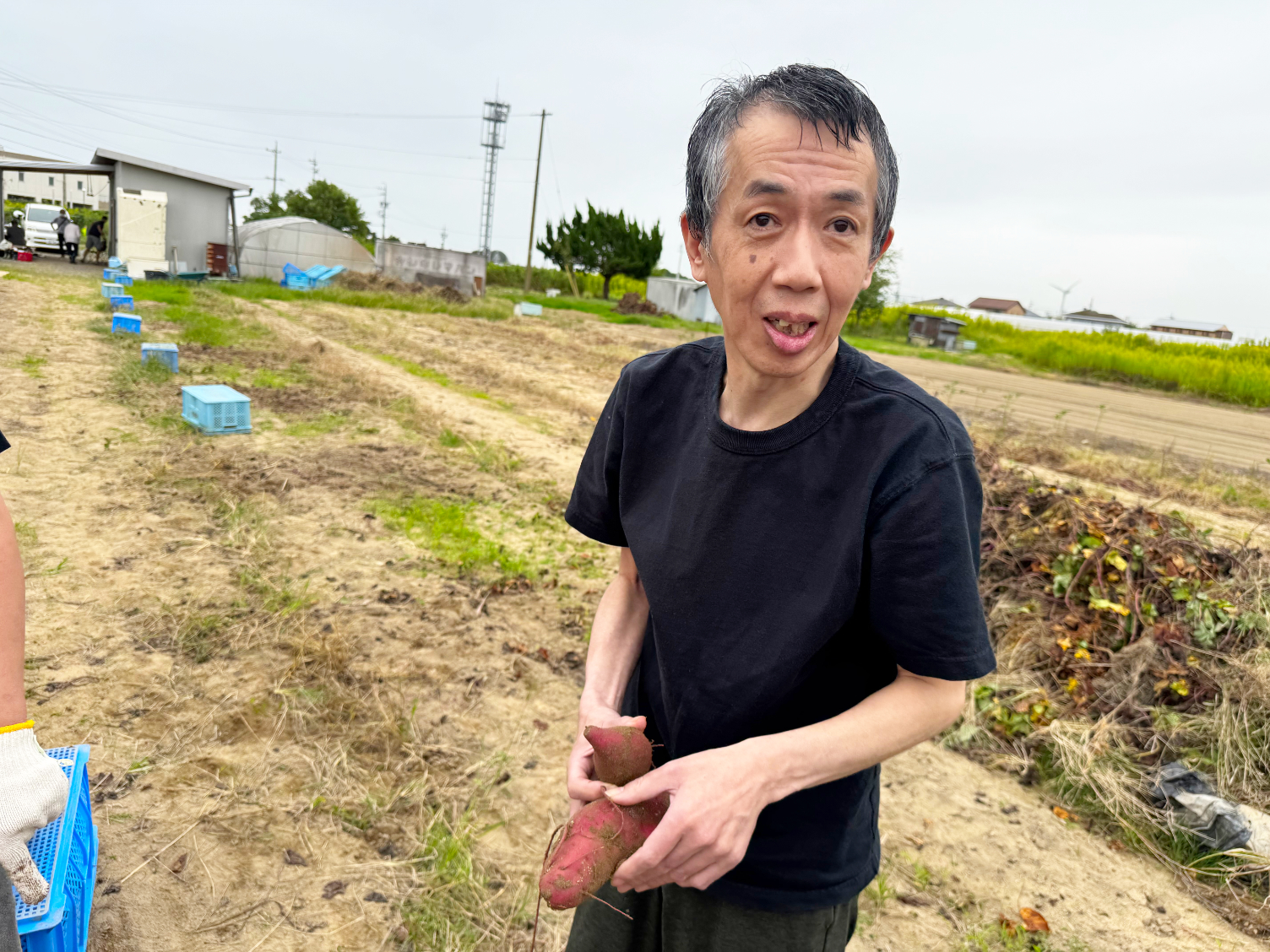 芋掘り