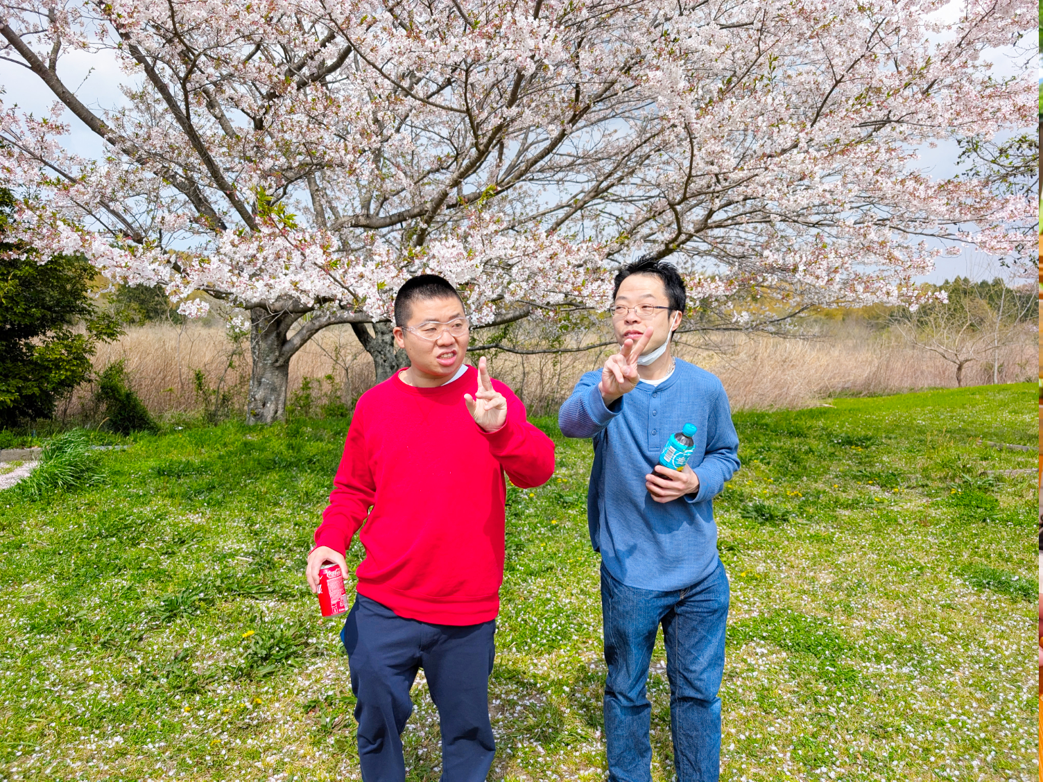花見